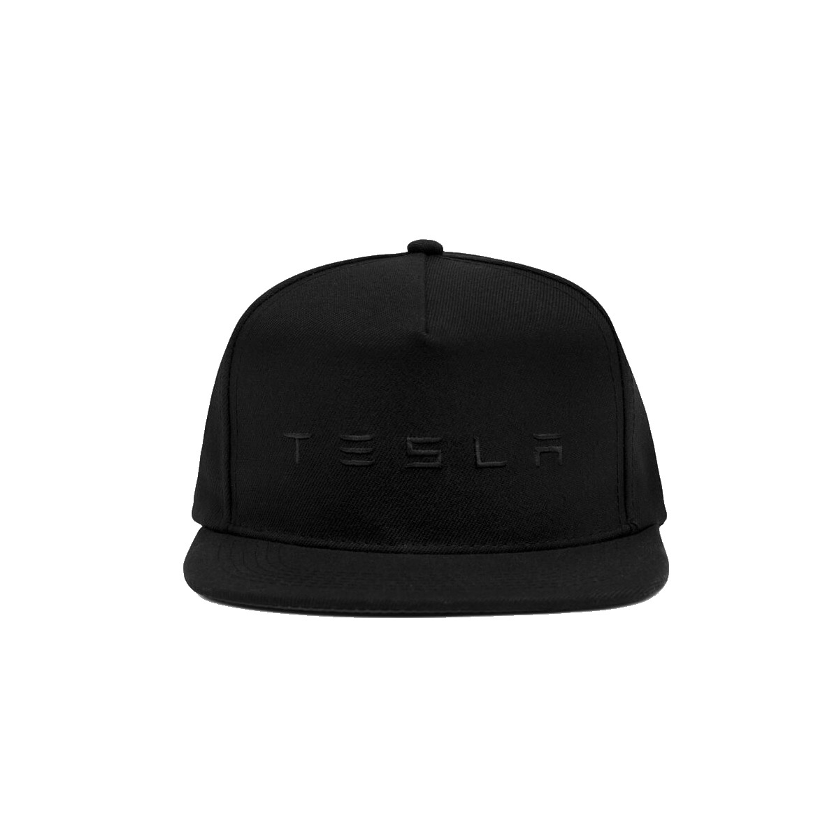 Фирменная кепка Tesla Snapback — изображение 2